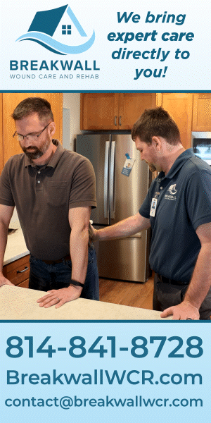 Wellness Library Breakwall wound care and rehab. In home physical therapy and wound care in erie pa. A PT is leading a patient through standing exercises in their home.